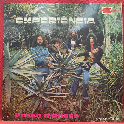 Experiência ‎– Passo A Passo - Vinyl Store Online