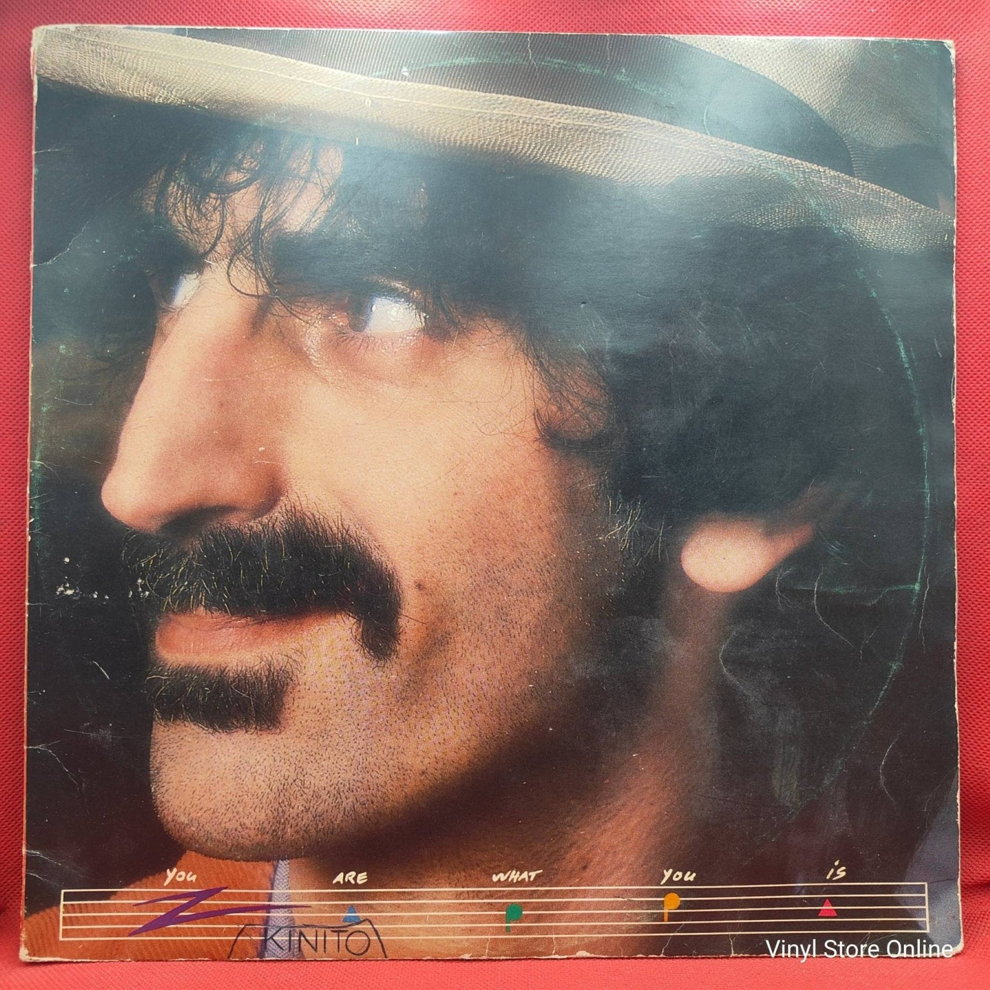 Frank Zappa ‎– You Are What You Is - Vinyl Store Online