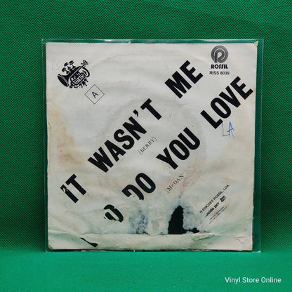 George Thorogood & The Destroyers ‎– It Wasn't Me / Who Do You Love - Vinyl Store Online