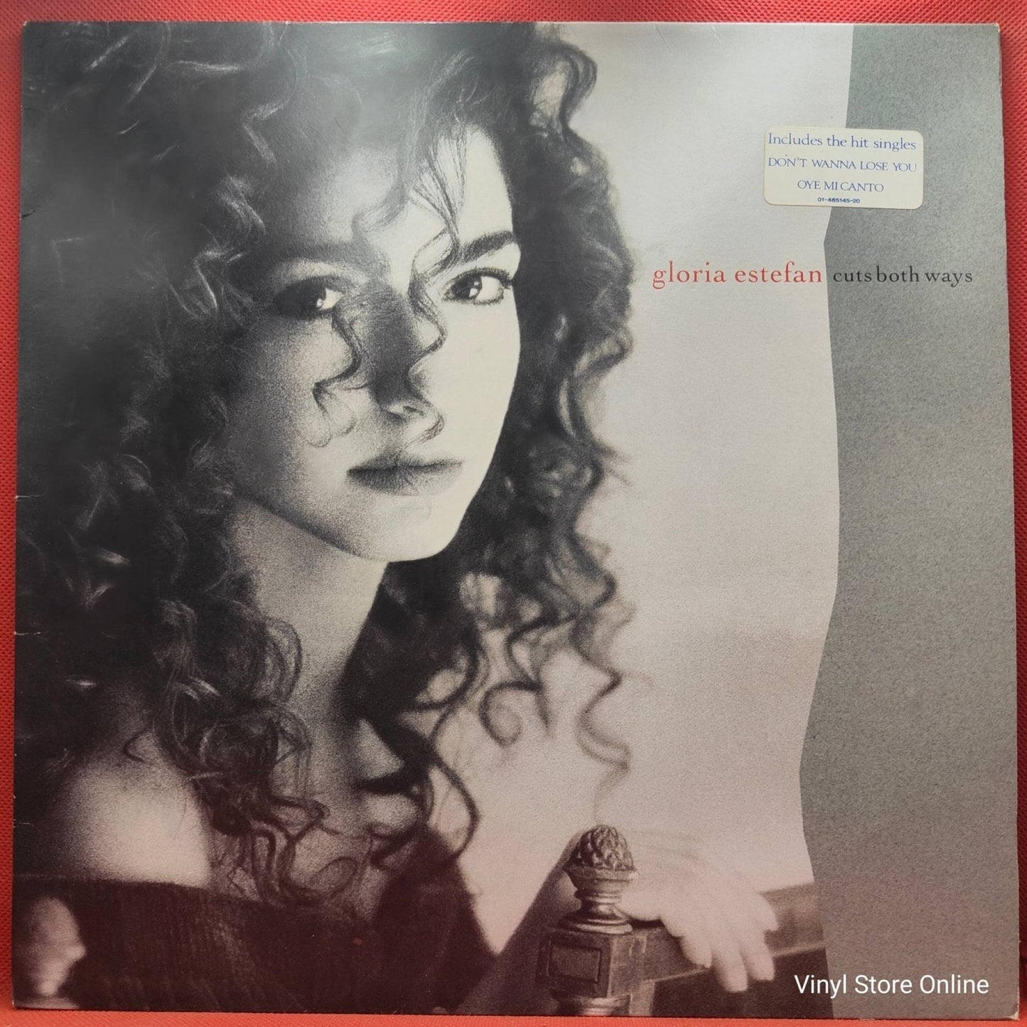 Gloria Estefan ‎– Cuts Both Ways - Vinyl Store Online