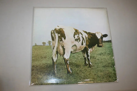 10 Capas Plástico Exteriores Para DUPLO LP e 12 polegadas 50 Microns - Vinyl Store Online