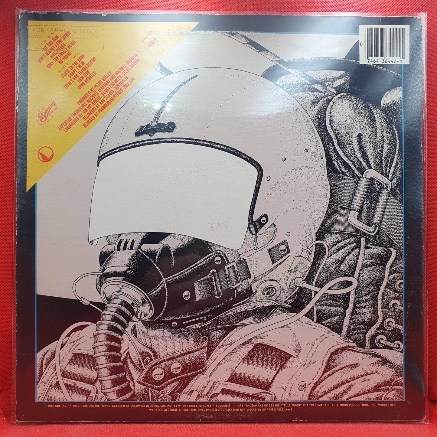 Jo Jo Zep and the Falcons ‎– Screaming Targets - Vinyl Store Online