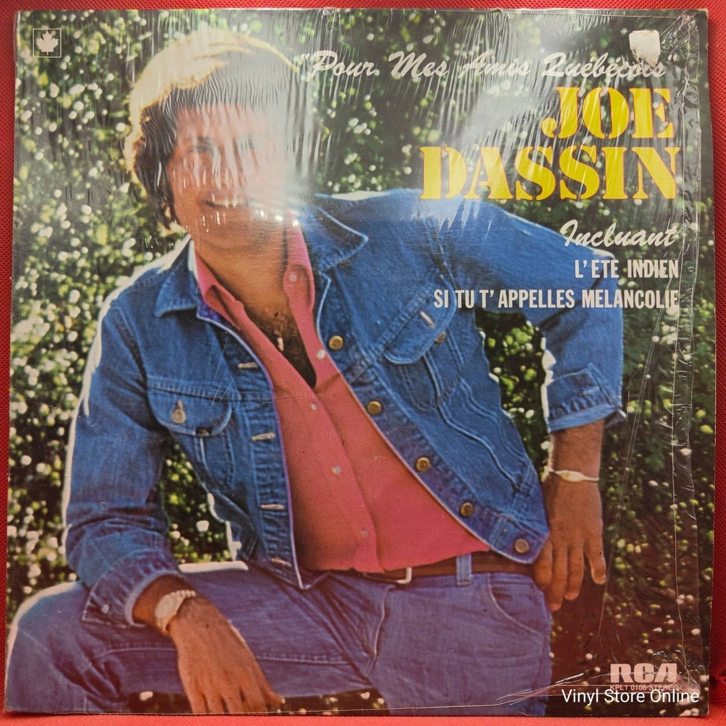 Joe Dassin ‎– Pour Mes Amis Québécois - Vinyl Store Online