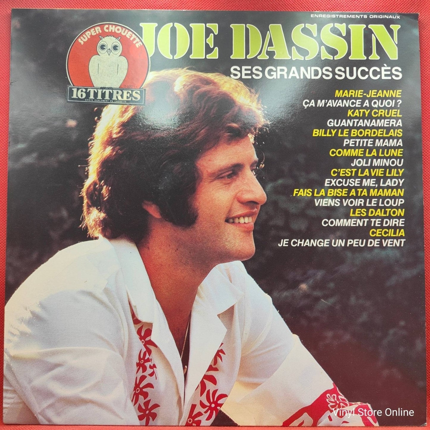 Joe Dassin ‎– Ses Grands Succès - Vinyl Store Online
