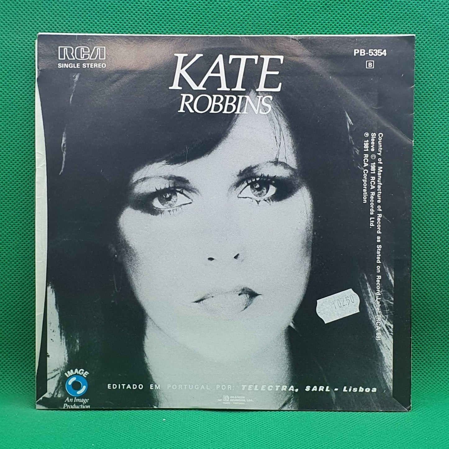 Kate Robbins ‎– More Than In Love - Vinyl Store Online
