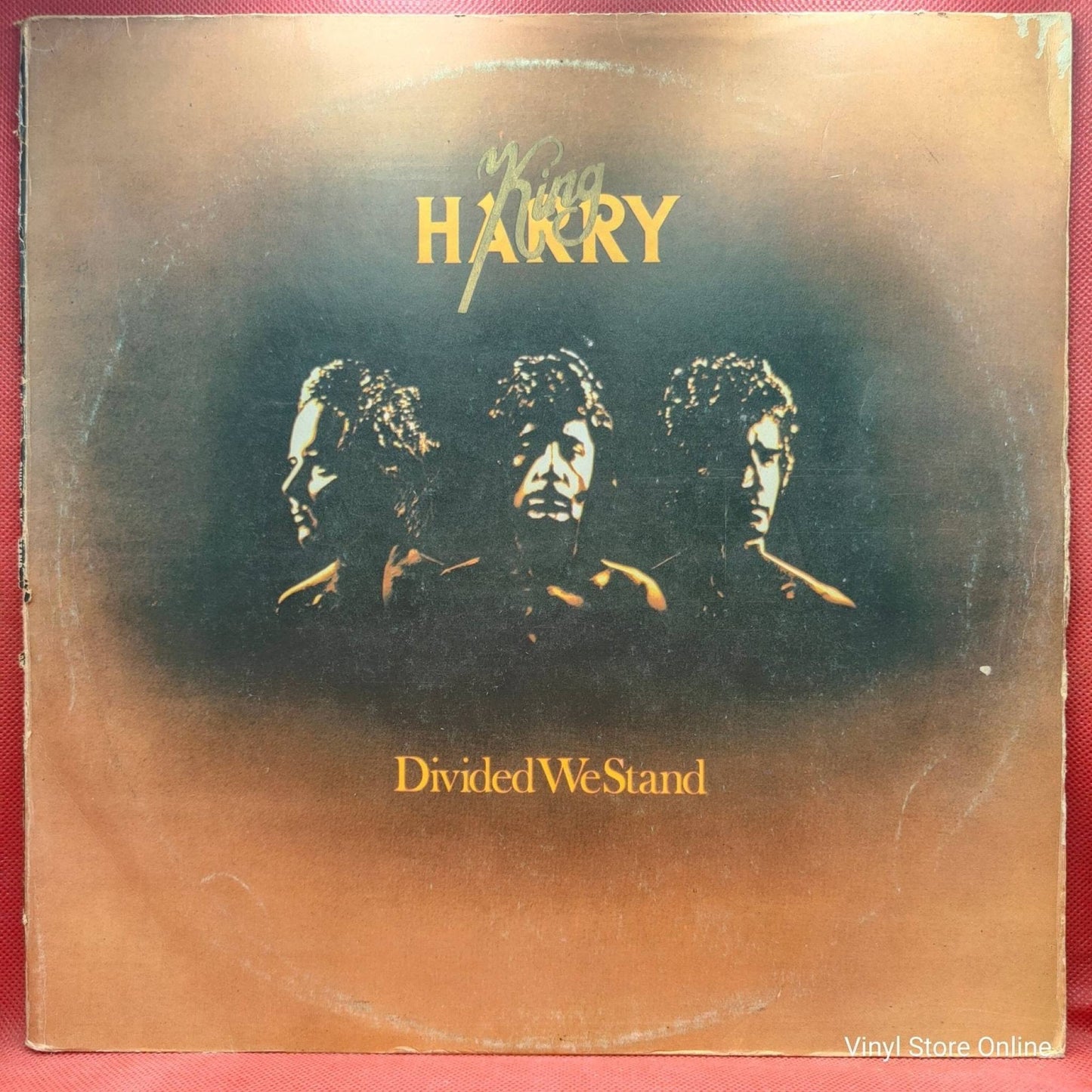 King Harry ‎– Divided We Stand - Vinyl Store Online