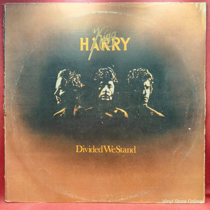 King Harry ‎– Divided We Stand - Vinyl Store Online