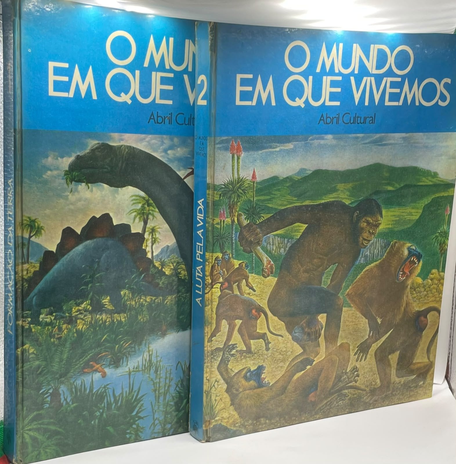 Lote de livros- O mundo em que vivemos · fotografia 1