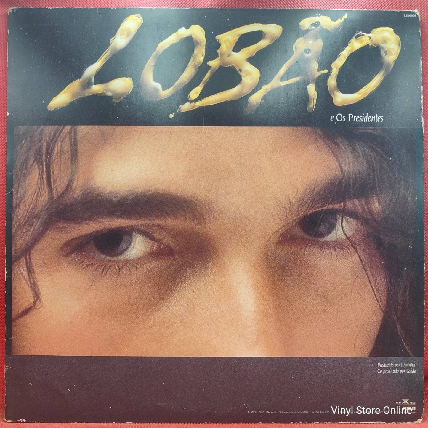 Lobão E Os Presidentes ‎– Sob O Sol De Parador - Vinyl Store Online
