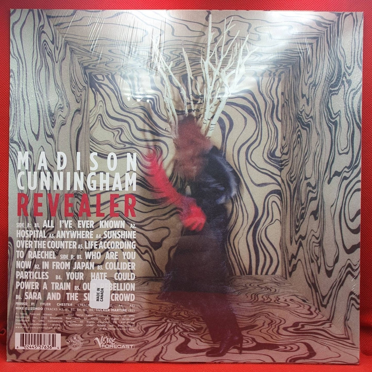 Madison Cunningham ‎– Revealer - Vinyl Store Online