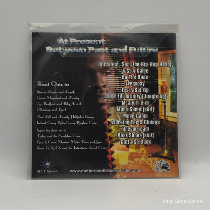 Mayhem Of The M.L.T. ‎– At Present: Between Past And Future - Vinyl Store Online