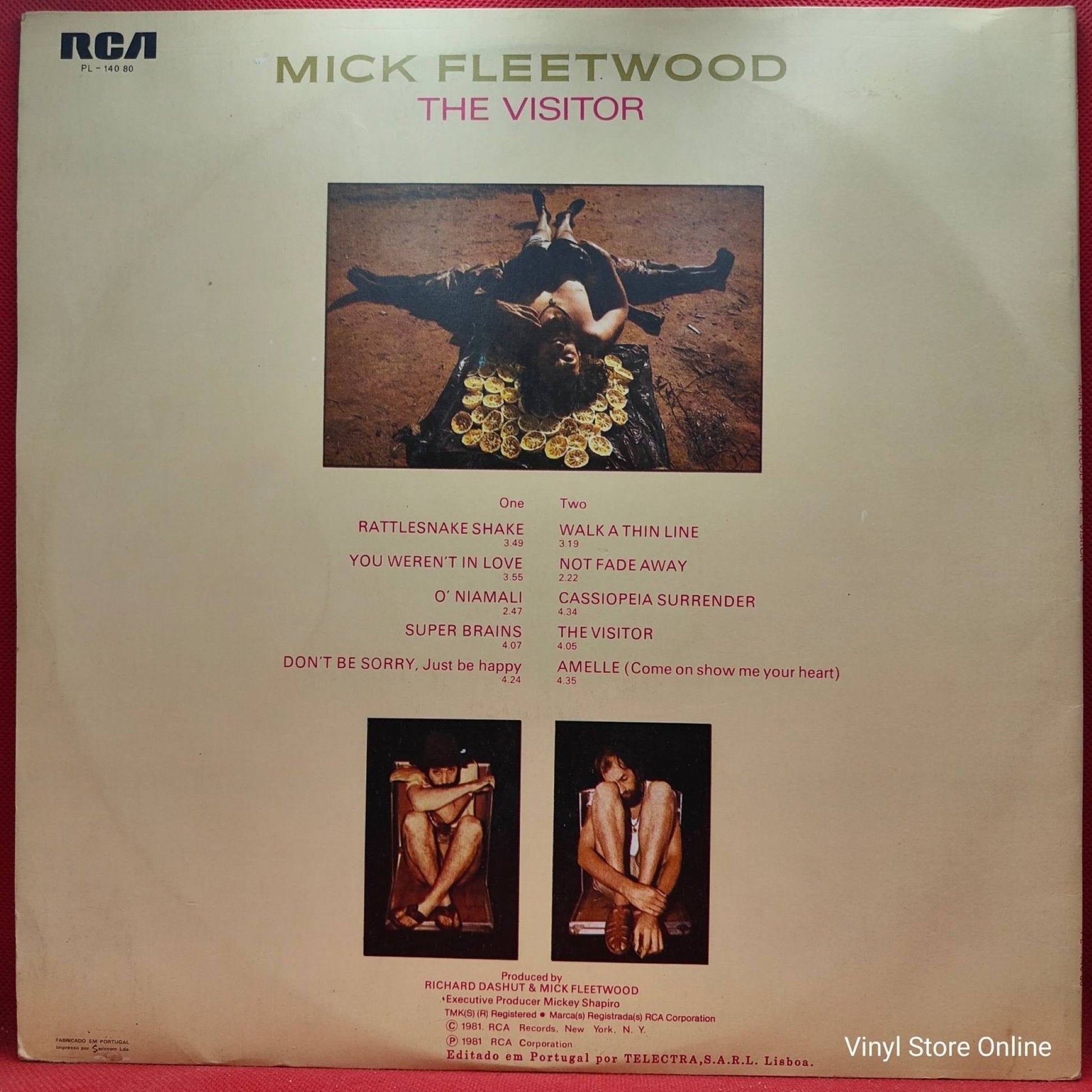 Mick Fleetwood ‎– The Visitor - Vinyl Store Online