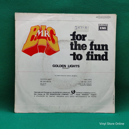 Mr Big ‎– For The Fun To Find - Vinyl Store Online