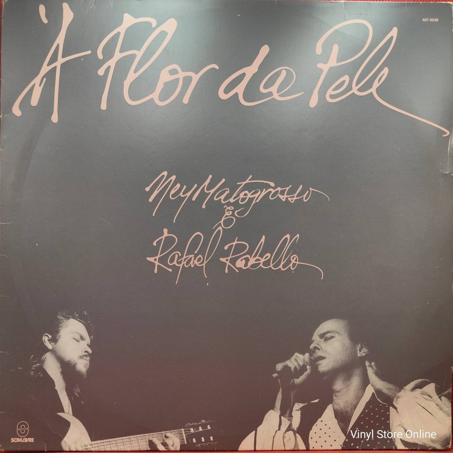 Ney Matogrosso & Rafael Rabello ‎– À Flor Da Pele - Vinyl Store Online