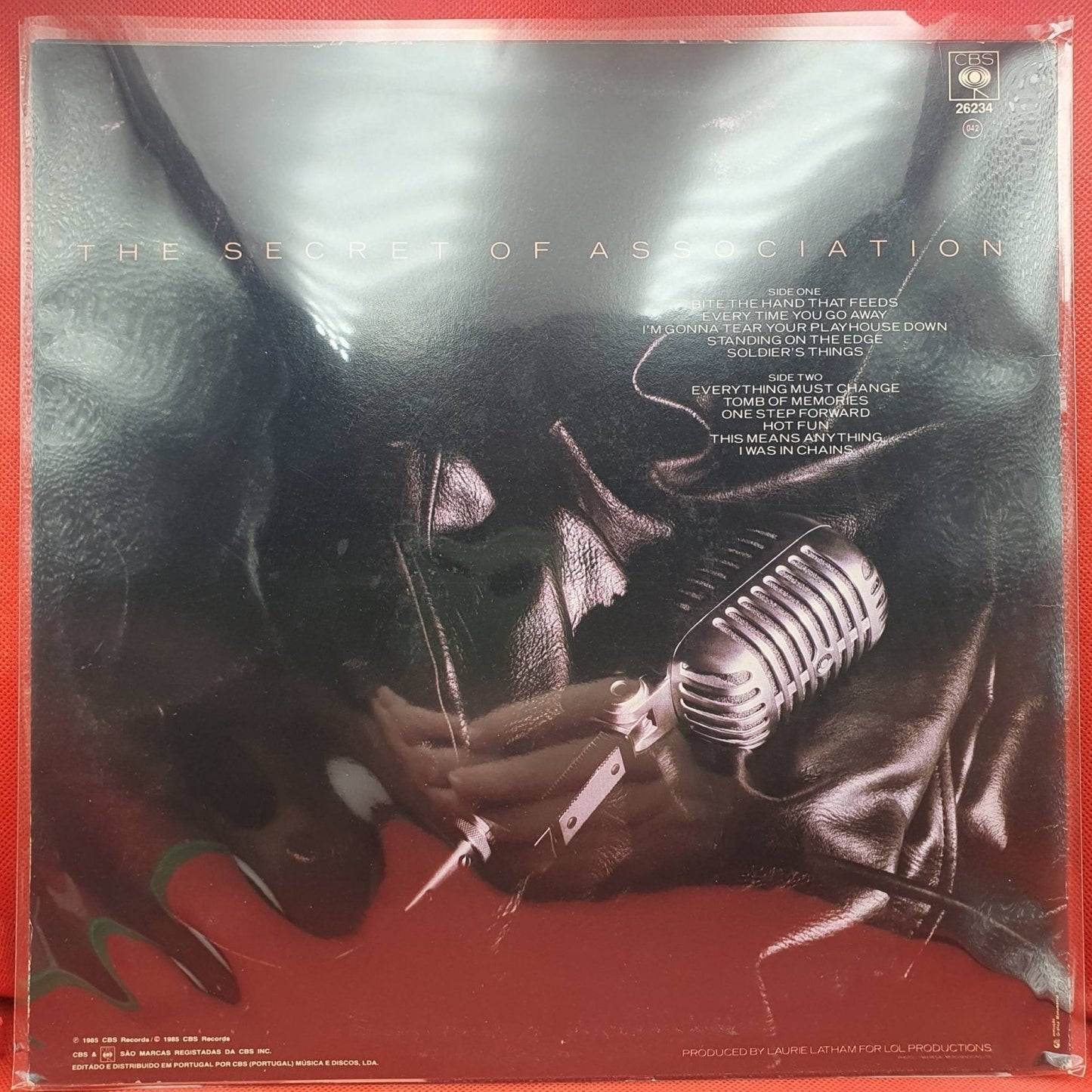 Paul Young ‎– The Secret Of Association - Vinyl Store Online