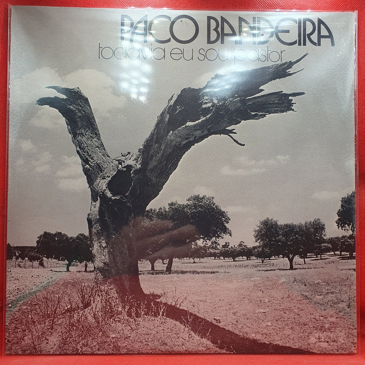 Paco Bandeira - Todavia Eu Sou Pastor (LP) · fotografia 1 · VSO#1130-2900