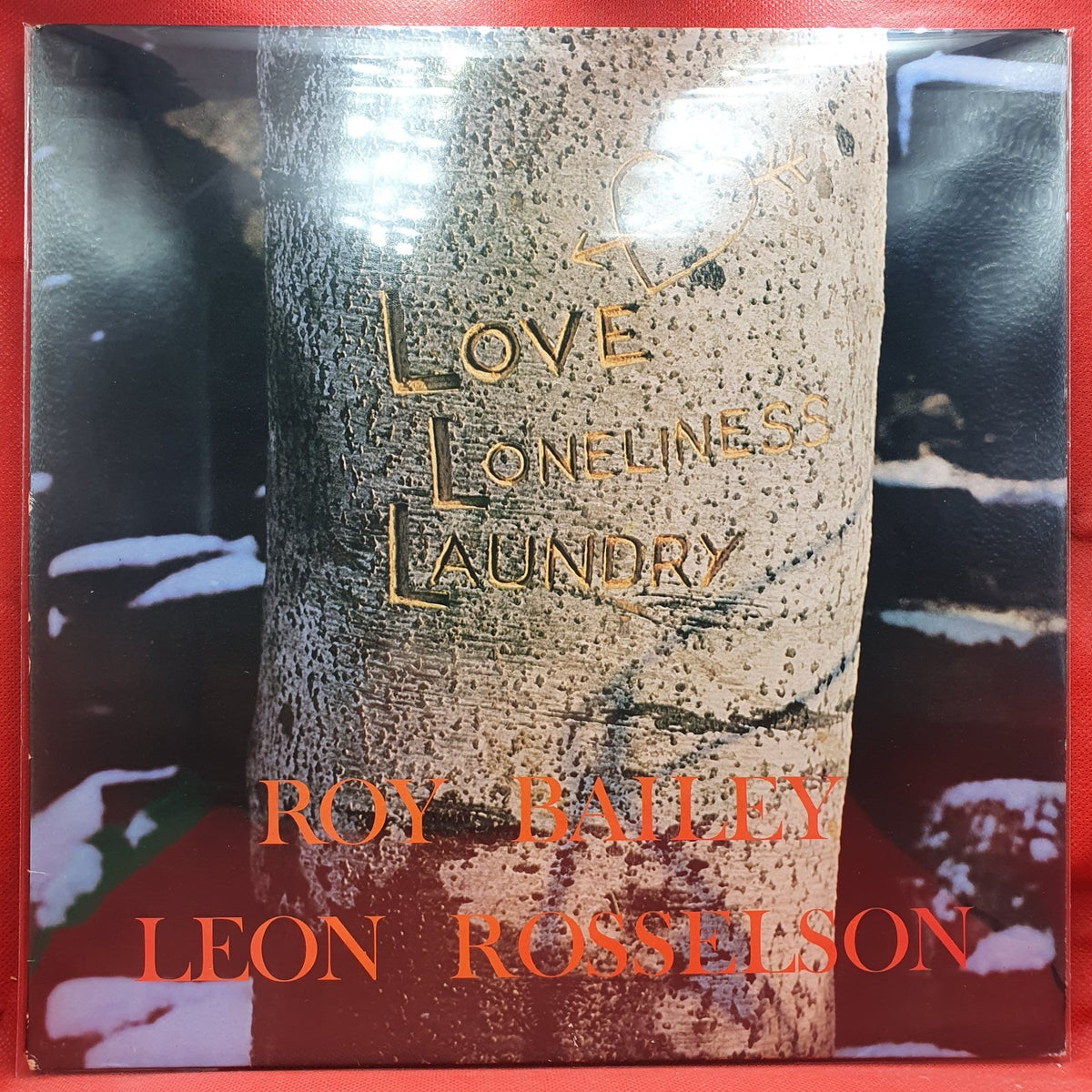 Roy Bailey, Leon Rosselson - Love, Loneliness And Laundry (LP) · fotografia 1 · VSO#1177-2978