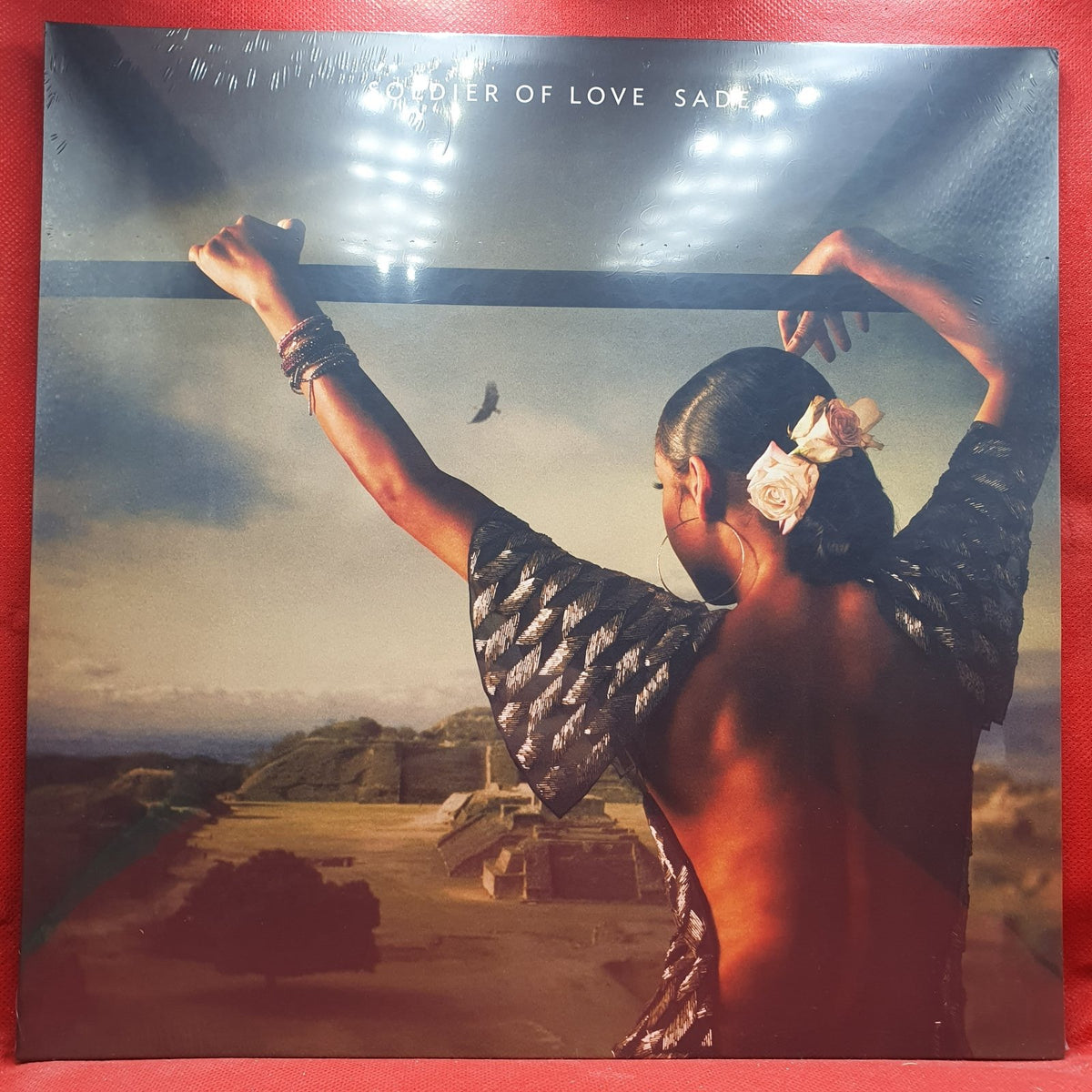 Sade - Soldier Of Love (LP) · fotografia 1 · VSO#1582-4038