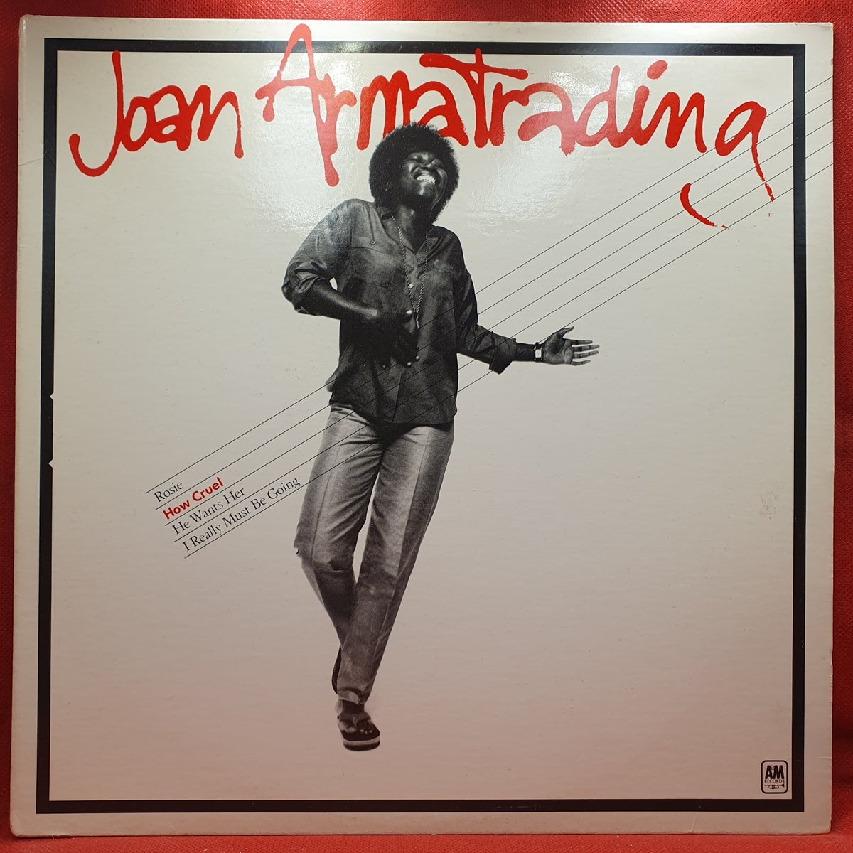 Joan Armatrading - How Cruel (LP) · fotografia 1 · VSO#1622-3957