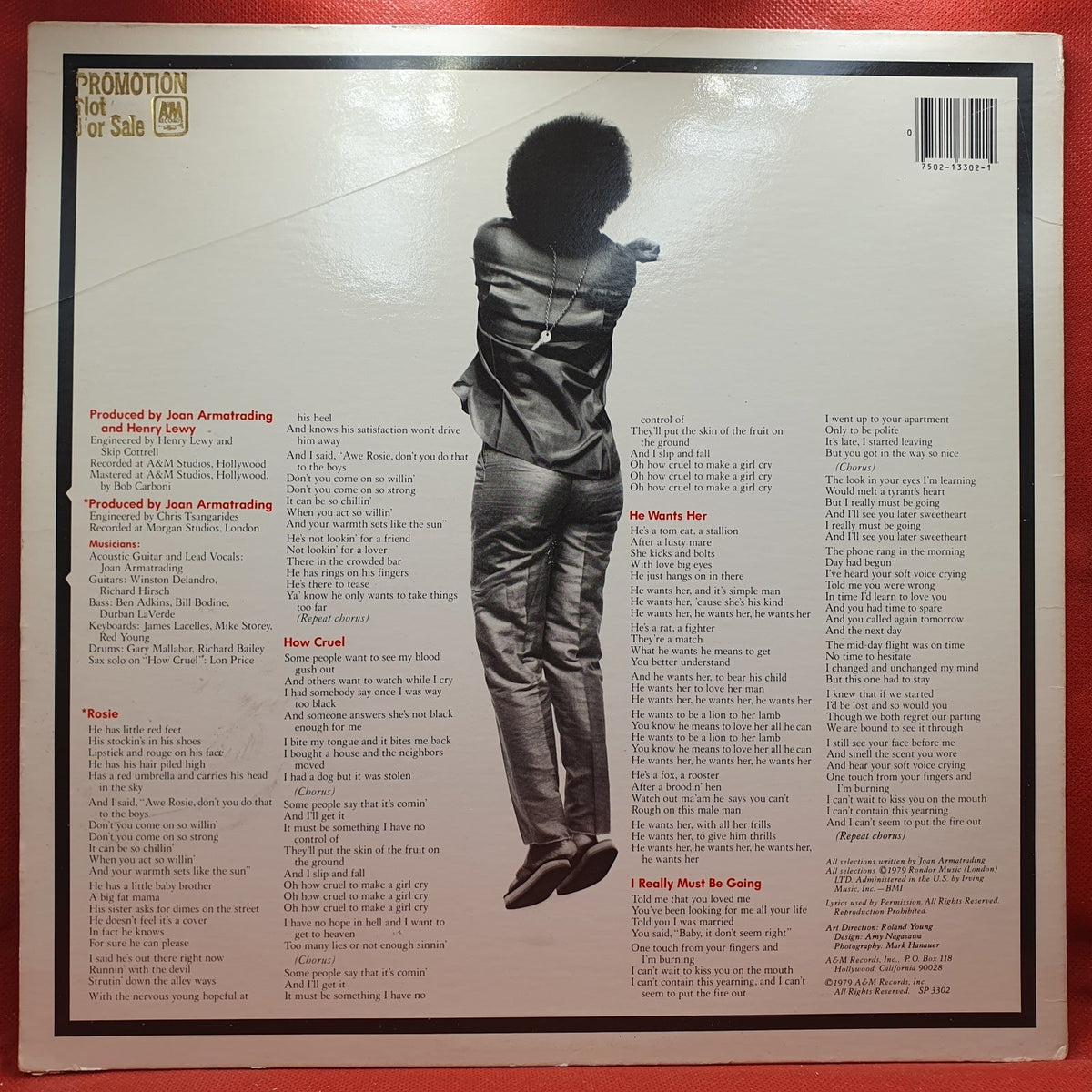 Joan Armatrading - How Cruel (LP) · fotografia 2 · VSO#1622-3958