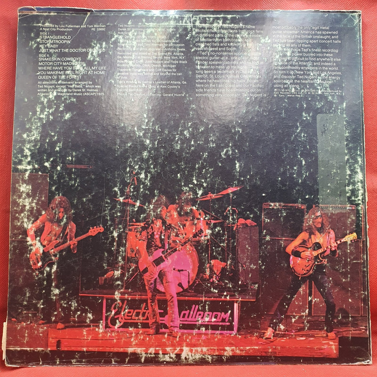 Ted Nugent - Ted Nugent (LP) · fotografia 2 · VSO#1647-3906