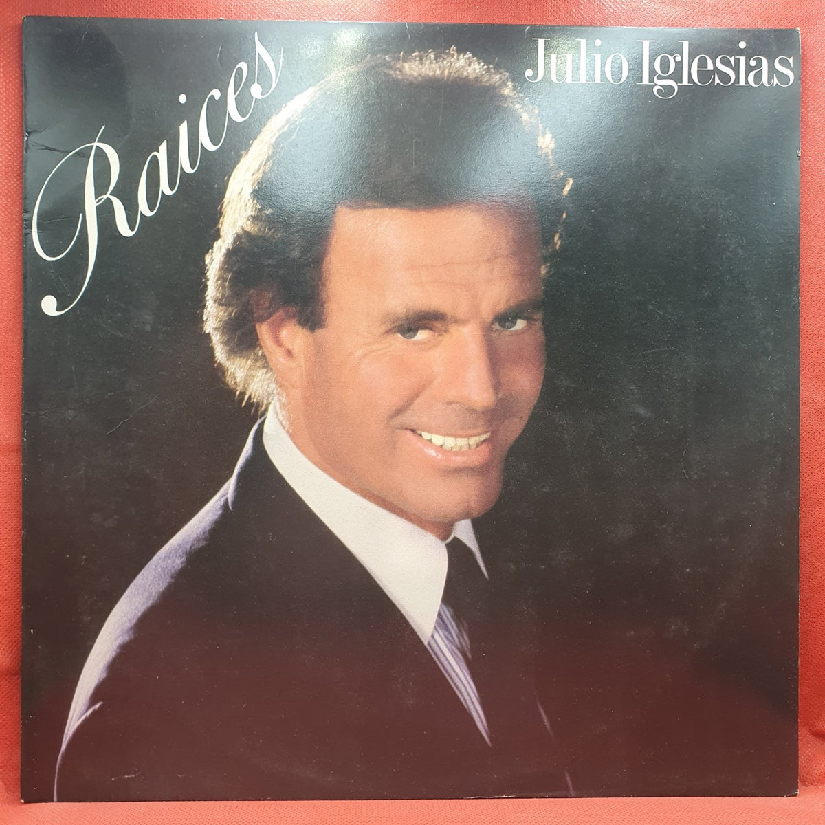 Julio Iglesias - Raices (LP) · fotografia 1 · VSO#1676-4275