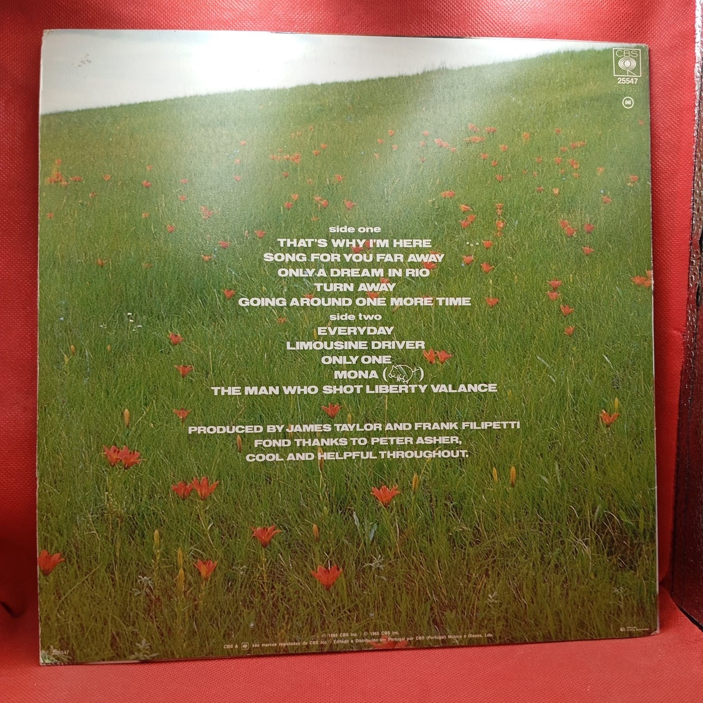 James Taylor - That's Why I'm Here (LP) · fotografia 2 · VSO#173-450