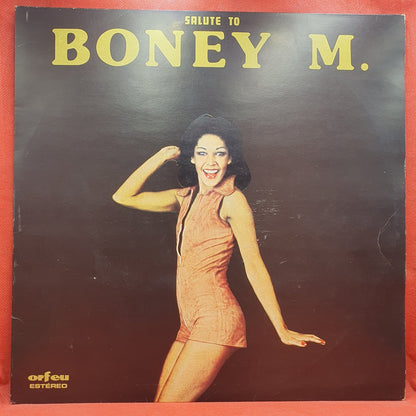 Unknown Artist - Salute To Boney M. (LP) · fotografia 1 · VSO#1799-4499