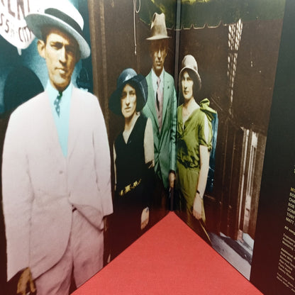 Bob Dylan - Rough And Rowdy Ways (2xLP) · fotografia 3 · VSO#199-591