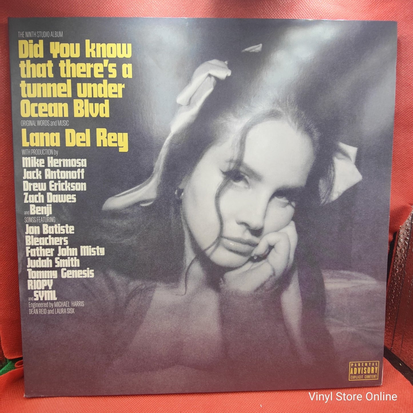 Lana Del Rey - Did You Know That There's A Tunnel Under Ocean Blvd (2xLP) · fotografia 1 · VSO#232-647