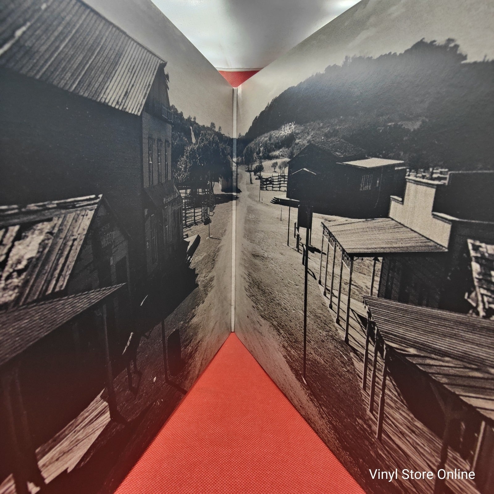 Willie Nelson - Ride Me Back Home (LP) · fotografia 3 · VSO#245-615