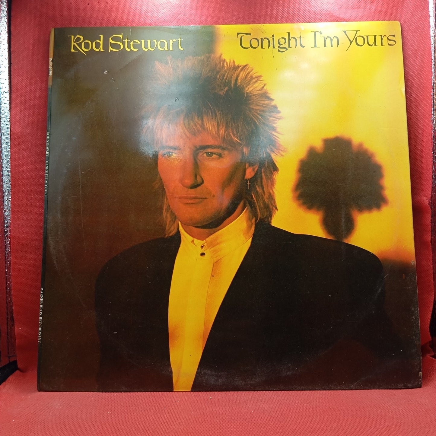 Rod Stewart - Tonight I'm Yours (LP) · fotografia 1 · VSO#381-994
