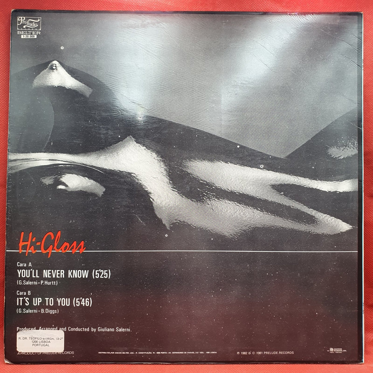 Hi-Gloss - You'll Never Know (Maxis) · fotografia 2 · VSO#613-1678