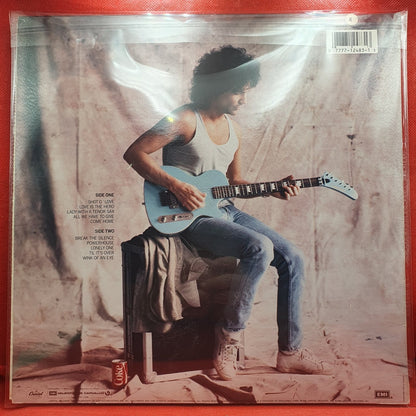 Billy Squier - Enough Is Enough (LP) · fotografia 2 · VSO#943-2435