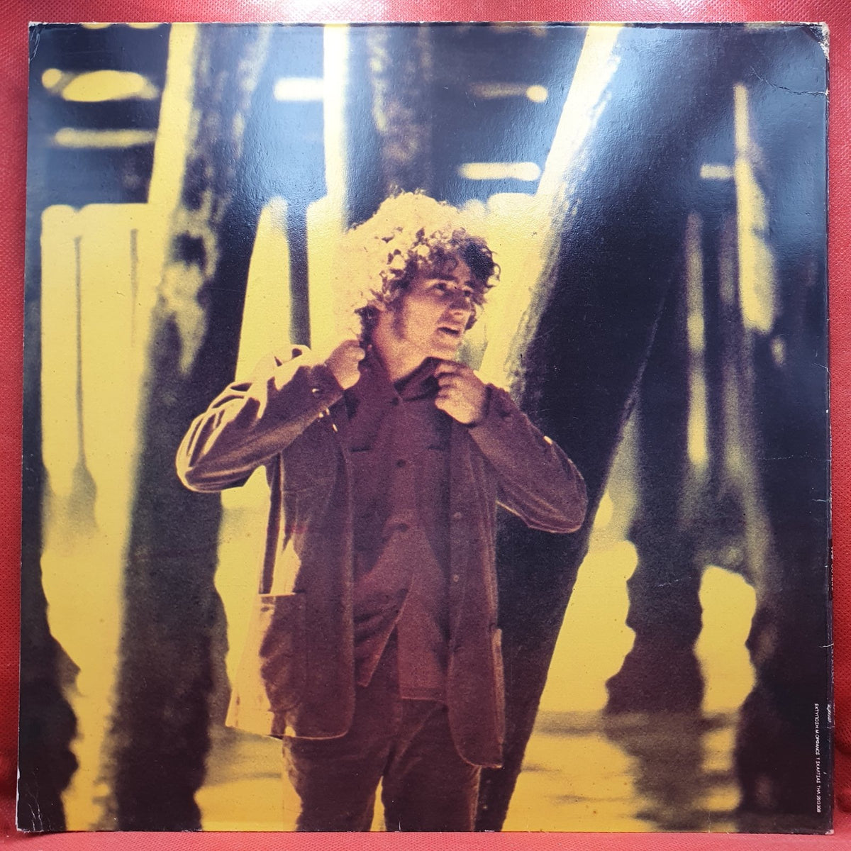 Tim Buckley - Blue Afternoon (LP) · fotografia 2 · VSO#962-2399