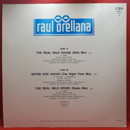 Raul Orellana ‎– The Real Wild House - Vinyl Store Online