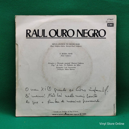 Raul Ouro Negro ‎– Meus Olhos Ficaram Mar - Vinyl Store Online