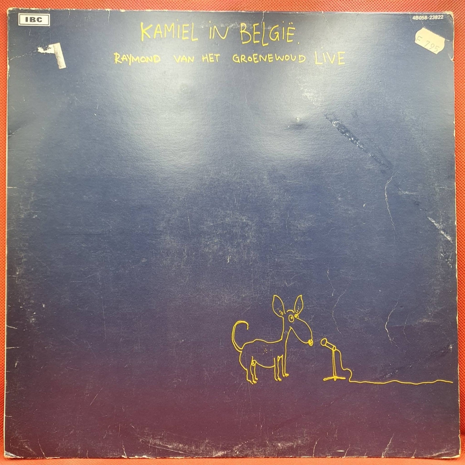 Raymond van het Groenewoud ‎– Kamiel In België - Vinyl Store Online