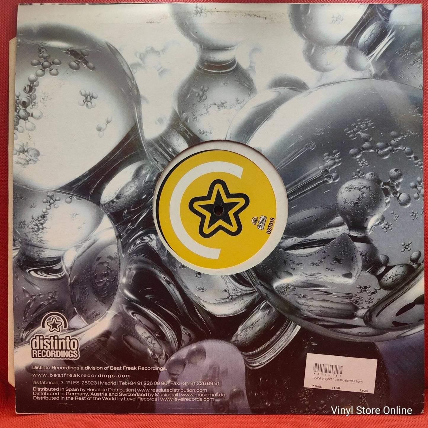 Rayzil Project ‎– The Music Was Born - Vinyl Store Online
