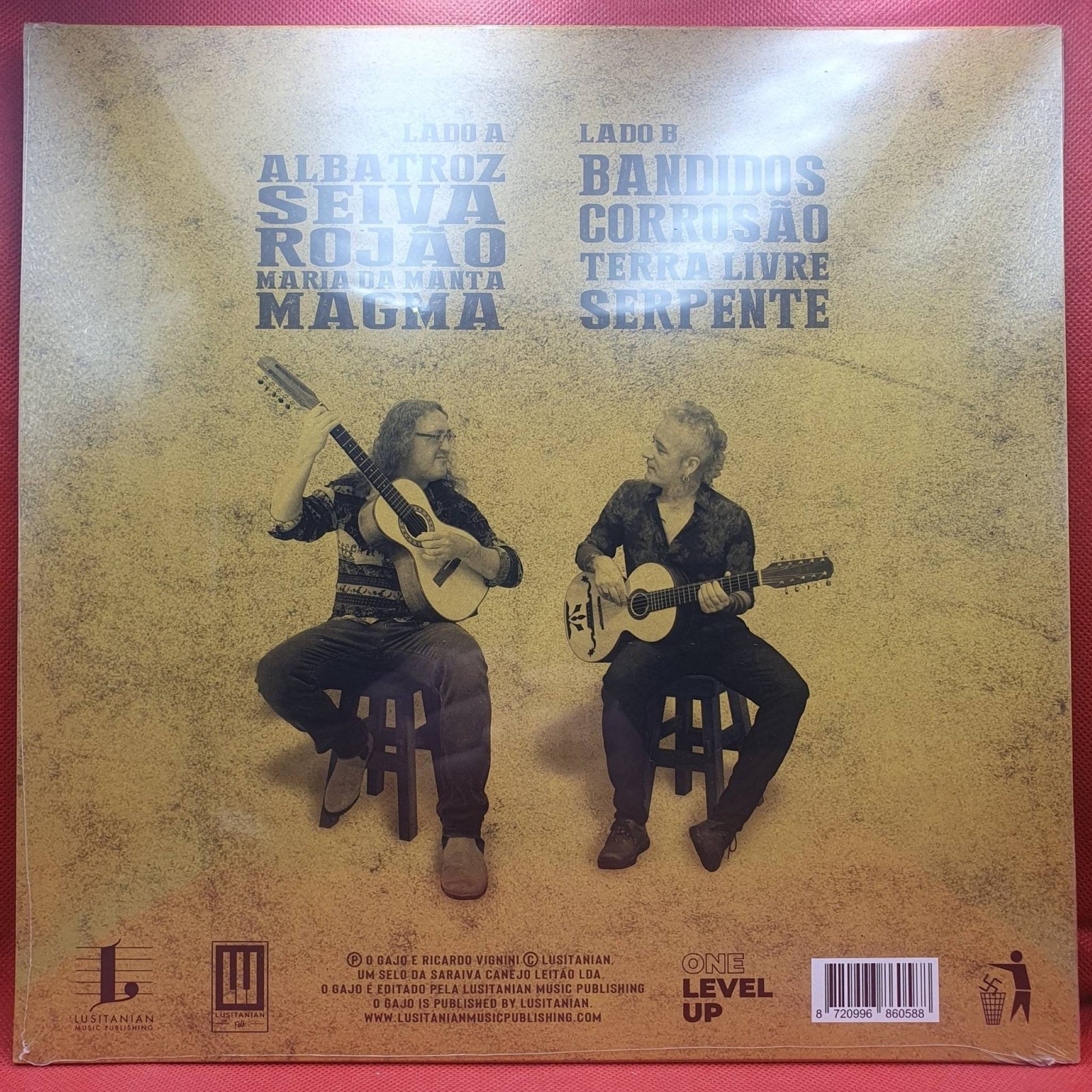 Ricardo Vignini, O Gajo ‎– Terra Livre - Vinyl Store Online
