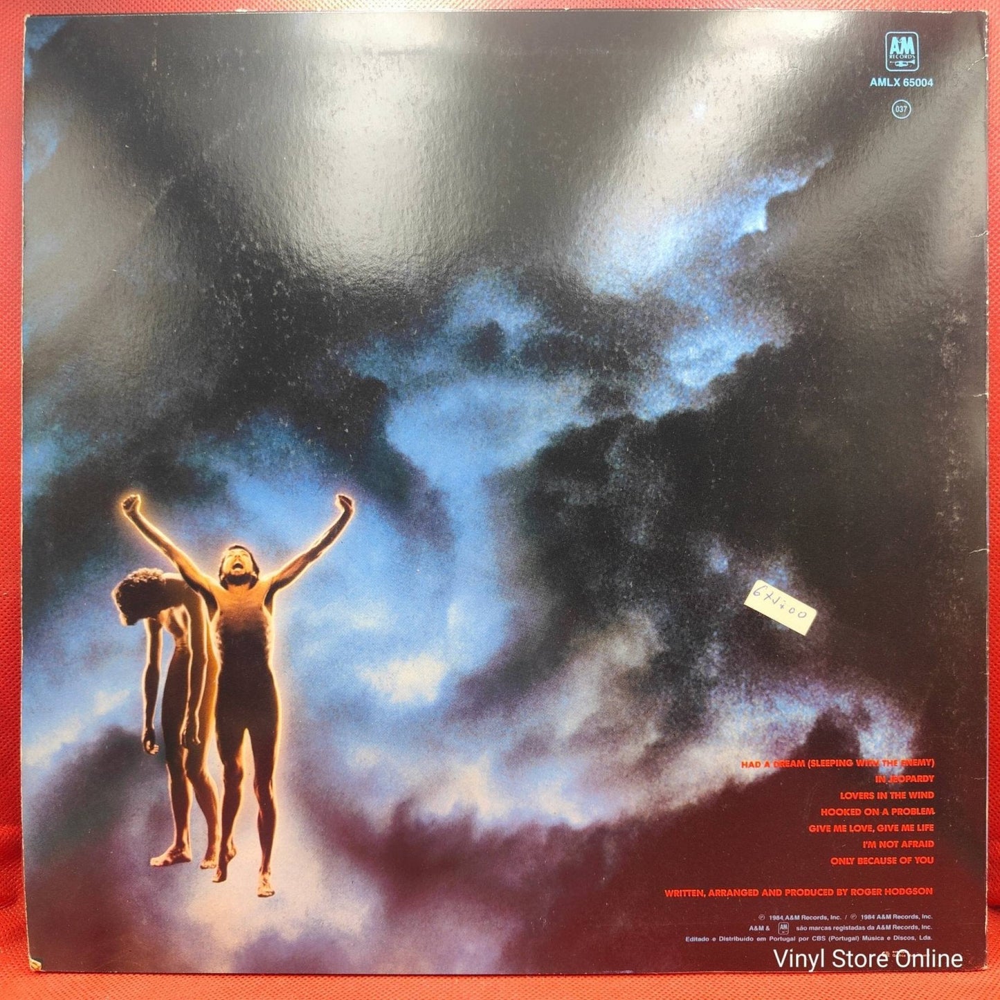 Roger Hodgson ‎– In The Eye Of The Storm - Vinyl Store Online