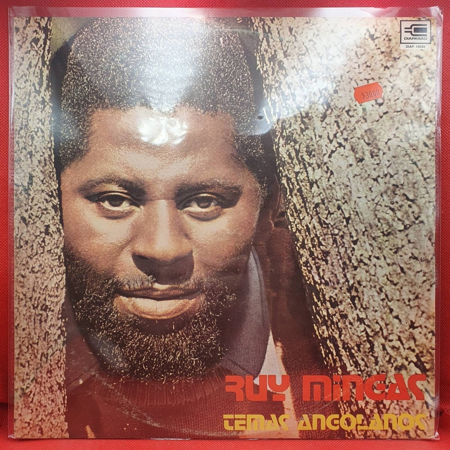 Ruy Mingas ‎– Temas Angolanos - Vinyl Store Online