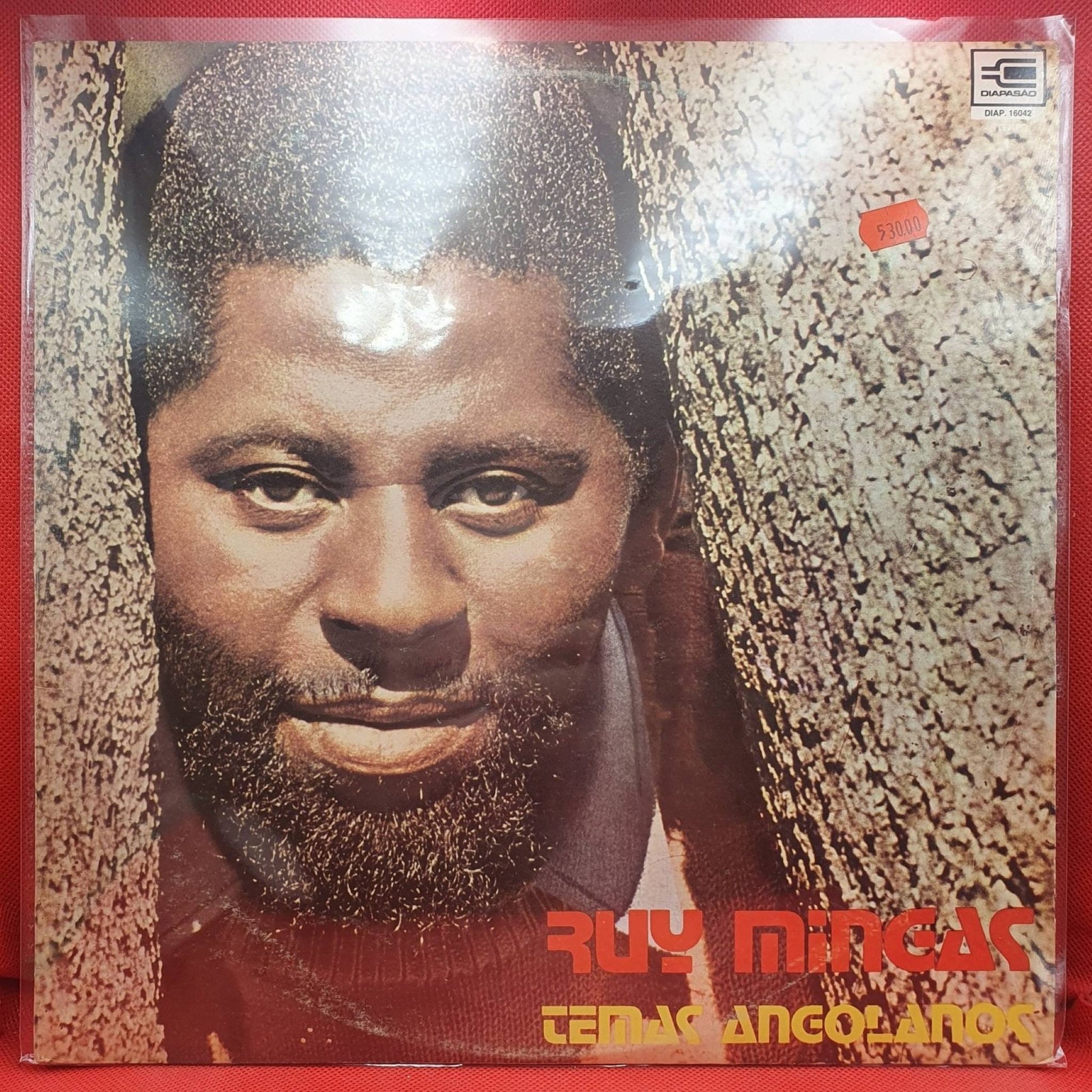 Ruy Mingas ‎– Temas Angolanos - Vinyl Store Online
