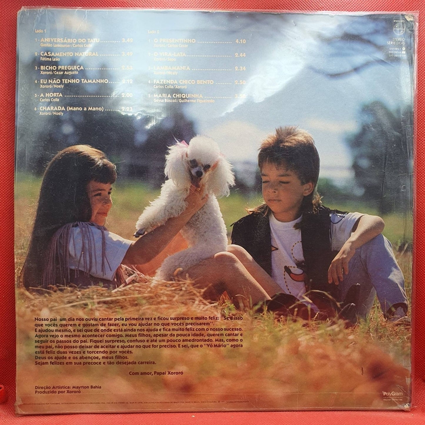 Sandy & Junior ‎– Aniversário Do Tatu - Vinyl Store Online