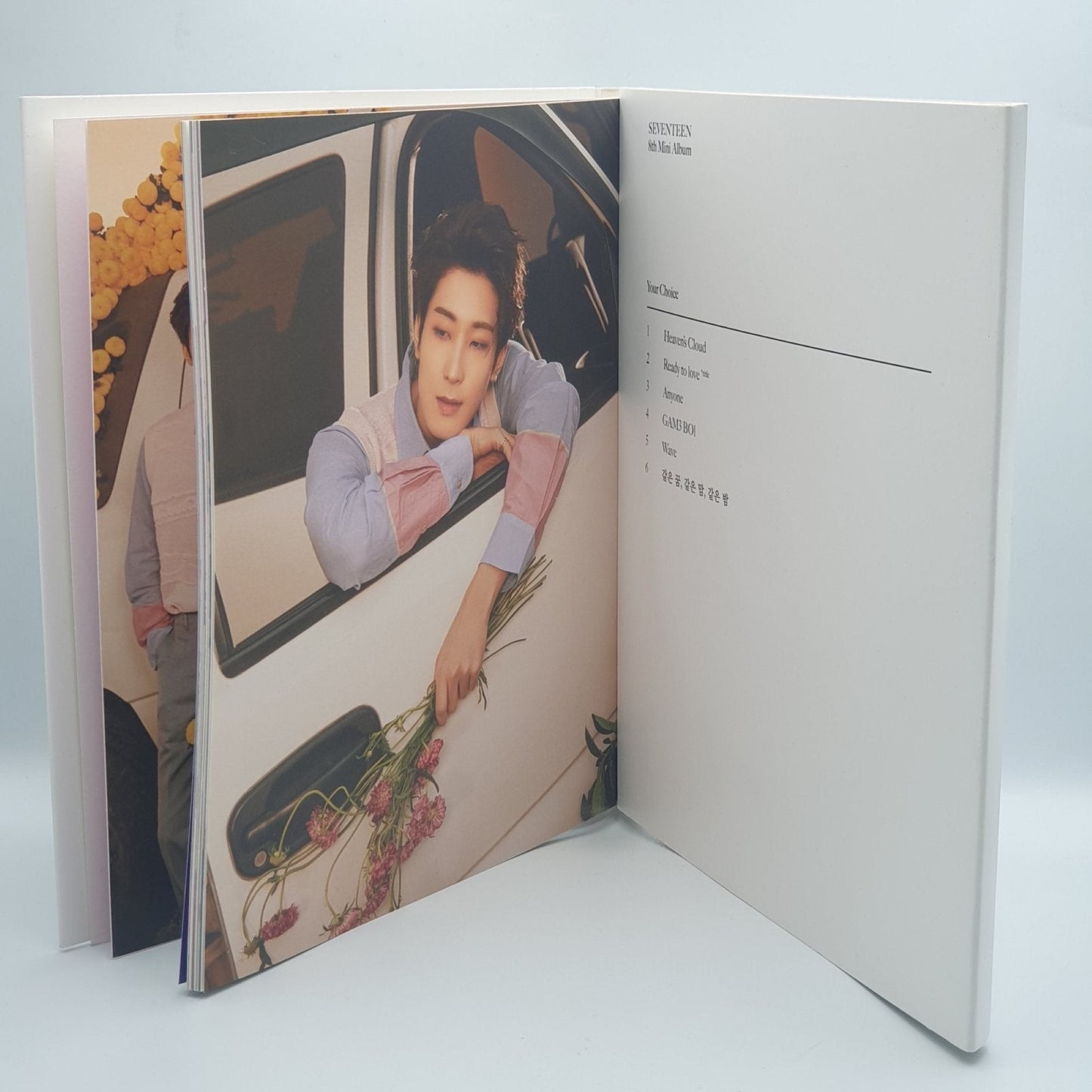 Seventeen ‎– Your Choice - Vinyl Store Online