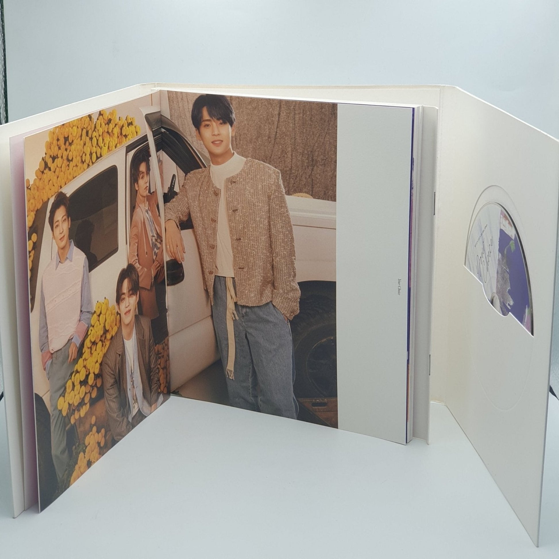 Seventeen ‎– Your Choice - Vinyl Store Online