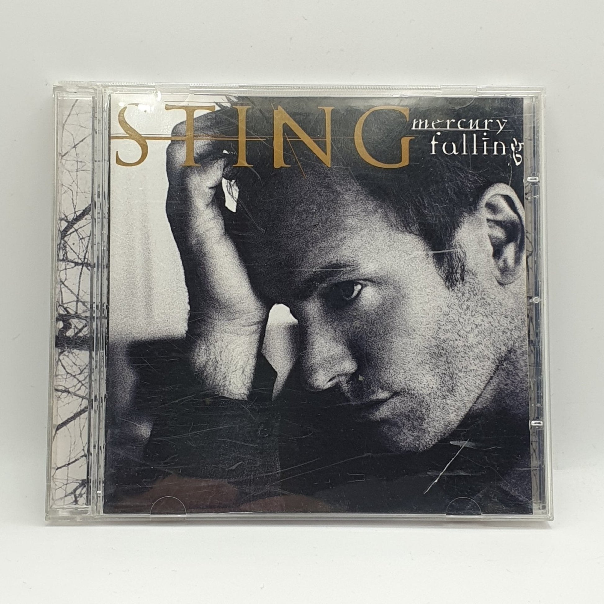 Sting ‎– Mercury Falling - Vinyl Store Online