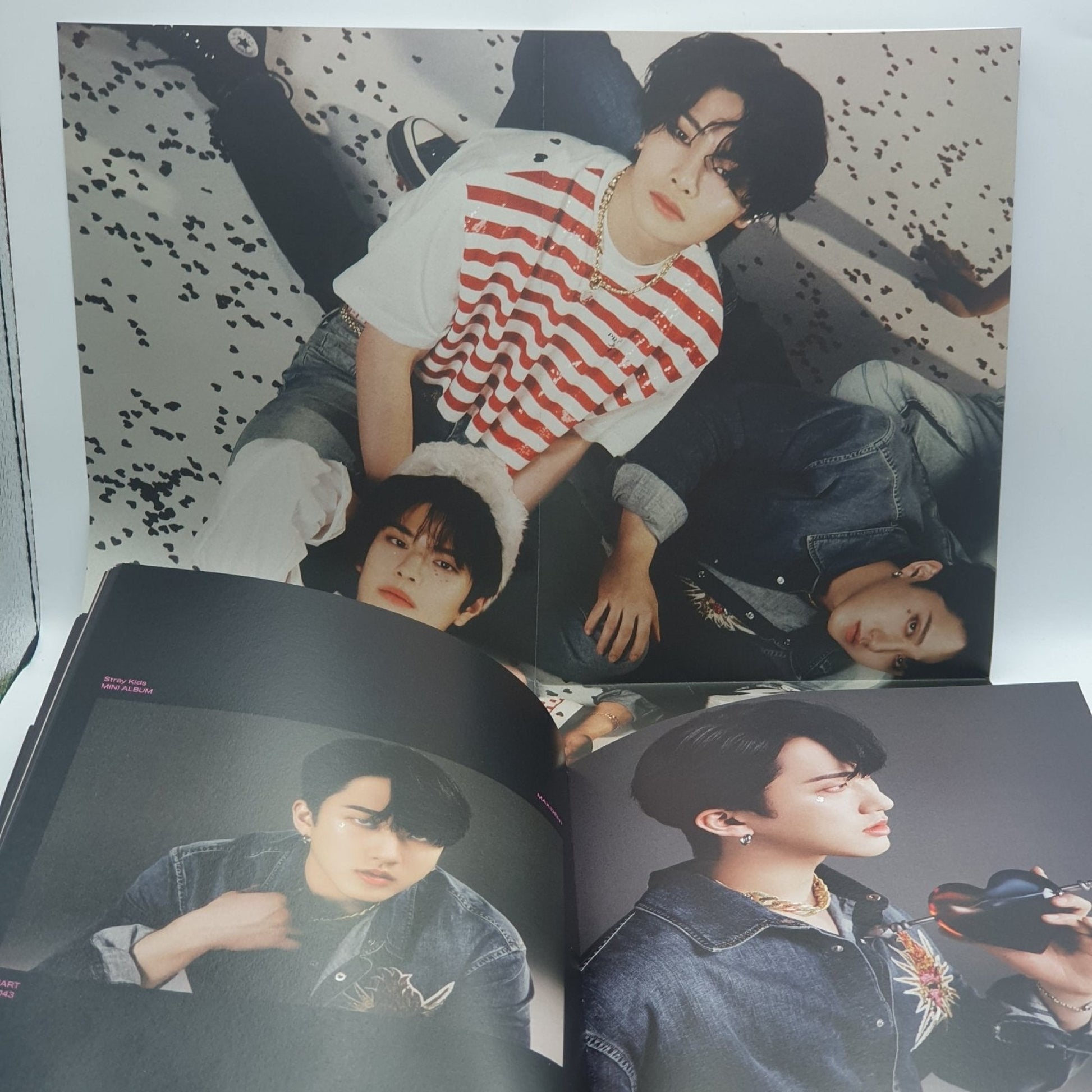 Stray Kids ‎– Maxident - Vinyl Store Online