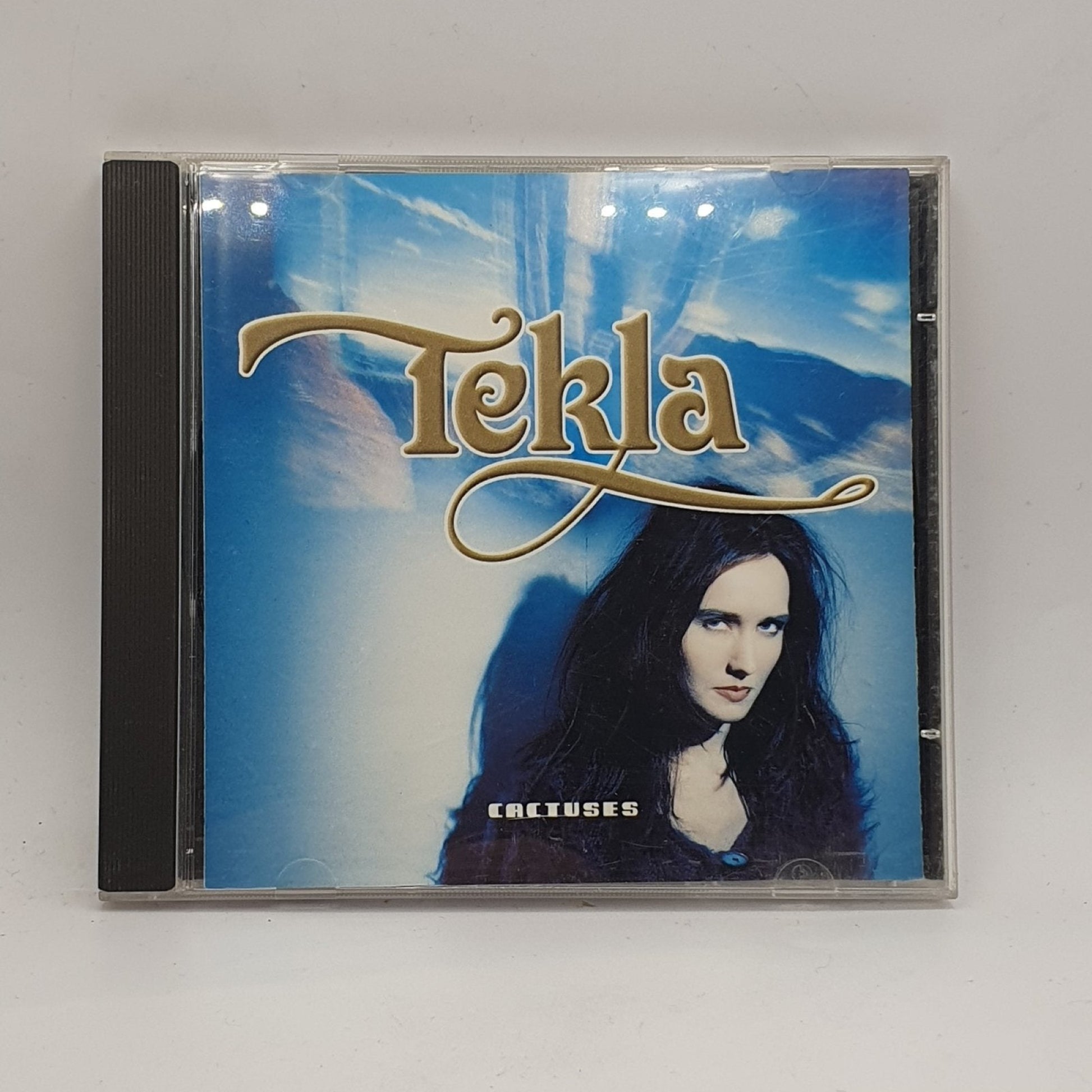 Tekla – Cactuses - Vinyl Store Online