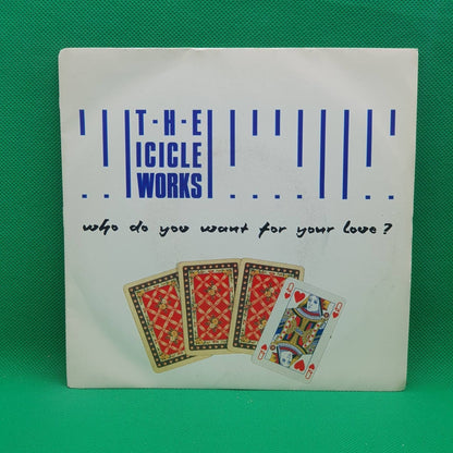 The Icicle Works ‎– Who Do You Want For Your Love? - Vinyl Store Online